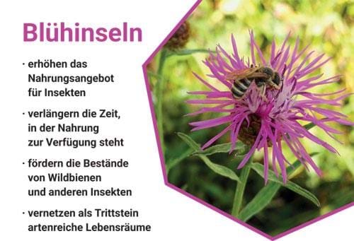 Erklärtafeln im Donaupark